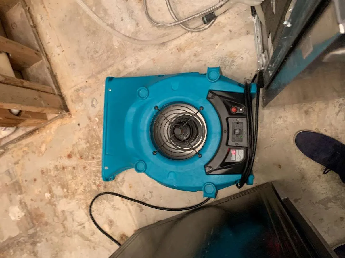 Air mover drying equipment for Mold Remediation & Removal in Weehawken